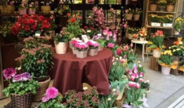 花店吃瓜视频爆料大全集,揭秘娱乐圈幕后风云